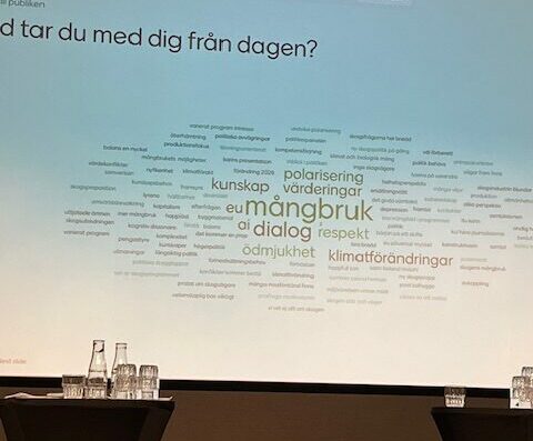 Ordmoln med mångbruk i centrum