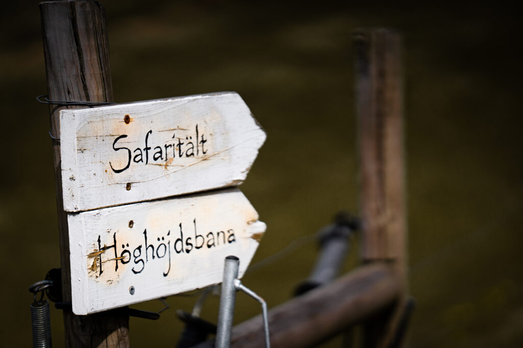 Två skyltar med texten safaritält respektive höghöjdsbana